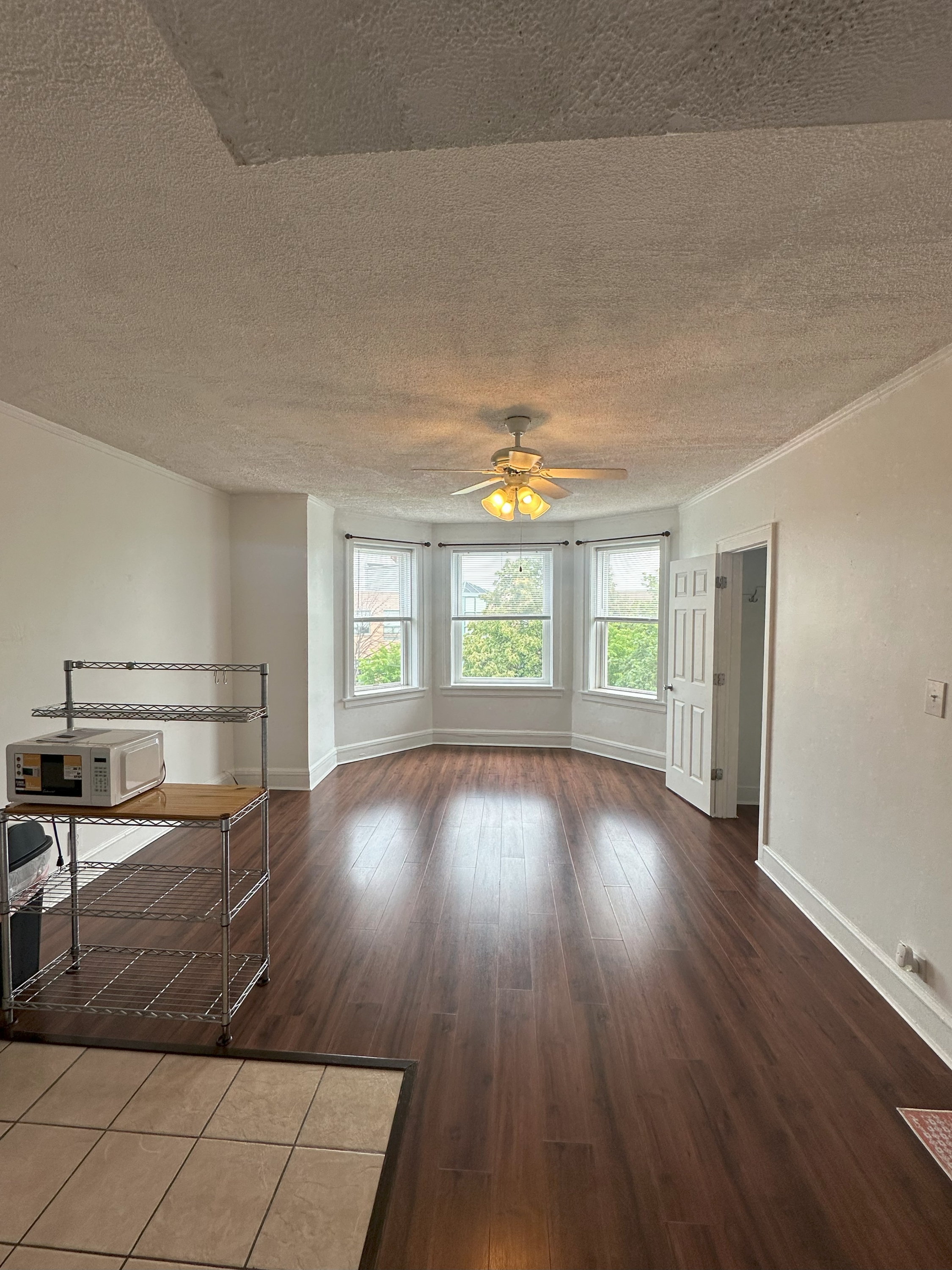 1828 North Springfield Avenue - 3F